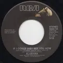 7inch Vinyl Single - Alabama - Tar Top