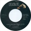7inch Vinyl Single - Alabama - When We Make Love