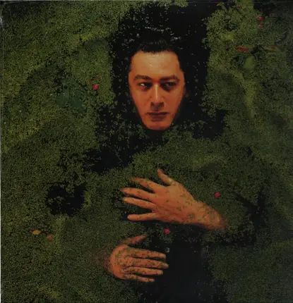 Alain Bashung - Fantaisie Militaire