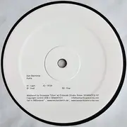 12inch Vinyl Single - Alan Backdrop - Hydra