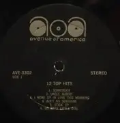 LP - Alan Caddy Orchestra & Singers - Twelve Top Hits