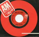 7inch Vinyl Single - Alan Gorrie - Diary Of A Fool - Promo