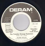 7inch Vinyl Single - Alan Price - Falling In Love Again / The Trimdon Grange Explosion - Promo Copy