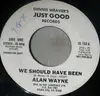 7inch Vinyl Single - Alan Wayne - We Should Have Been