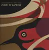 LP - Alasdair Roberts & James Green - Plaint Of Lapwing - Numbered