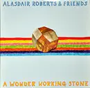 Double LP - Alasdair Roberts - A Wonder Working Stone