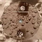 12inch Vinyl Single - Alaska - Broken Silence / Perimeter