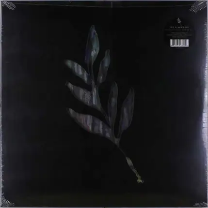 Album Leaf - AN.. -Coloured-