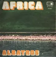 Albatros - Africa