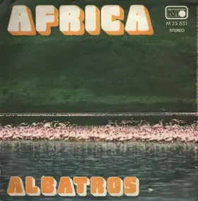 Albatros - Africa