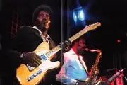 DVD - Albert Collins And The Icebreakers - In Concert - Still Sealed