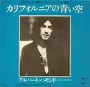 7inch Vinyl Single - Albert Hammond = Albert Hammond - カリフォニアの青い空 = It Never Rains In Southern California