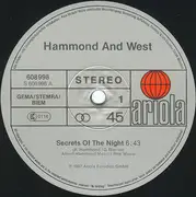 12inch Vinyl Single - Albert Hammond & Albert West - Secrets Of The Night