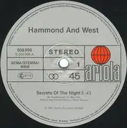 12inch Vinyl Single - Albert Hammond & Albert West - Secrets Of The Night