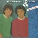 7inch Vinyl Single - Albert Hammond & Albert West - Secrets Of The Night