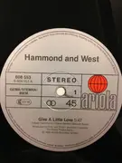 12inch Vinyl Single - Hammond And West - Give A Little Love / Loving You, Loving Me