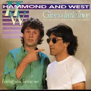 7inch Vinyl Single - Albert Hammond And Albert West - Give A Little Love