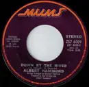 7inch Vinyl Single - Albert Hammond - Down By The River