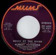 Albert Hammond - Down By The River