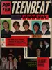 Hardcover - Albert Hand - Teen Beat Annual 1966