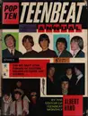 Hardcover - Albert Hand - Teen Beat Annual 1966