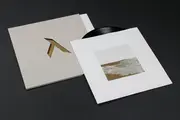 2 x 12inch Vinyl Single - Albert Van Abbe - Champagne Palestine