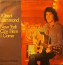 7'' - Albert Hammond - New York City Here I Come / Fountain Avenue