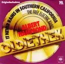 7'' - Albert Hammond - It Never Rains In Southern California / A Job Is A Home To A Homeless Man