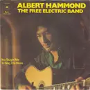 7'' - Albert Hammond - The Free Electric Band - You Taught Me To Sing The Blues
