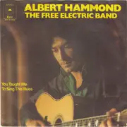 7'' - Albert Hammond - The Free Electric Band - You Taught Me To Sing The Blues