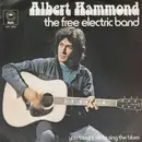 7'' - Albert Hammond - The Free Electric Band - You Taught Me To Sing The Blues