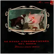 Alberto Airoldi / Mario Mariotti - La bella addormentata nel bosco