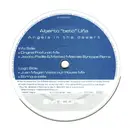 12inch Vinyl Single - Alberto Beto Una - Angels In The Desert