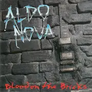 CD - Aldo Nova - Blood On The Bricks