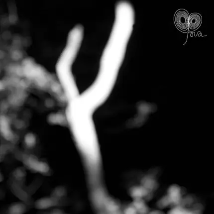 Alex Meshkov & Pawas - Fog