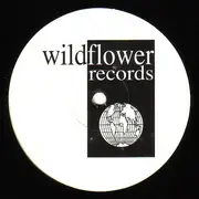 12inch Vinyl Single - Alex Neri - Planet Funk 2 Remix