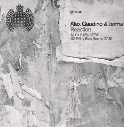 Alex Gaudino & Jerma - Reaction