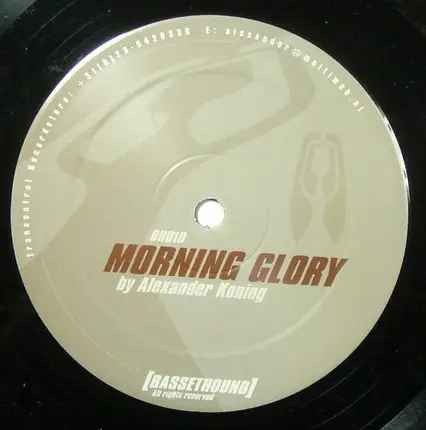 Alexander Koning - Morning Glory