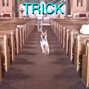Alex G - Trick