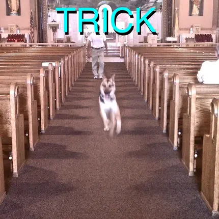 Alex G - Trick