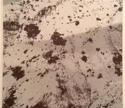 CD - Alexi Murdoch - Towards The Sun - Digisleeve