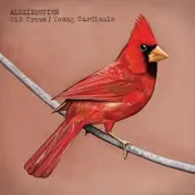 Alexisonfire - Old Crows/Young Cardinals