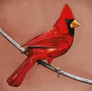 CD - Alexisonfire - Old Crows / Young Cardinals