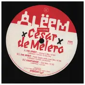Aleem - The Spirit