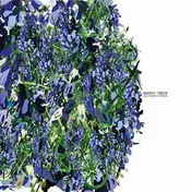 Alejandro Vivanco - Madre Tierra