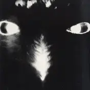 alejandro mosso - Ulanbator / Altiplano