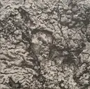 12inch Vinyl Single - Aleks - Future Dialect EP - EP