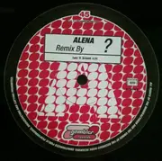 12inch Vinyl Single - Alena - Turn It Around