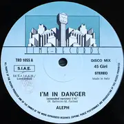 12inch Vinyl Single - Aleph - I'm In Danger