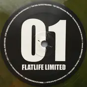 Alessio Pagliaroli - Flatlife Limited 01